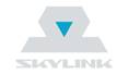 SkyLink